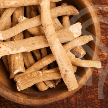 Ashwagandha NSP Model NSP 23072 | Obrázek č. 1