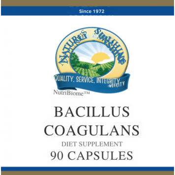 Bacillus Coagulans