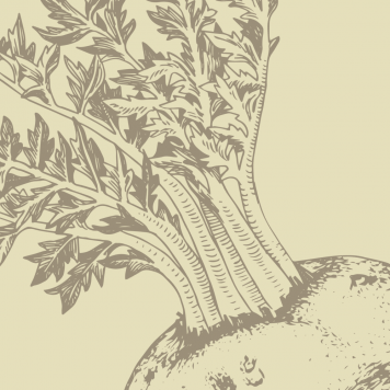 Boost NSP Model NSP 1121 | Obrázek č. 1