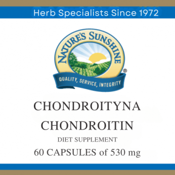 Chondroitin NSP Chondroitin NSP Model NSP 1811 | Obrázek č. 1
