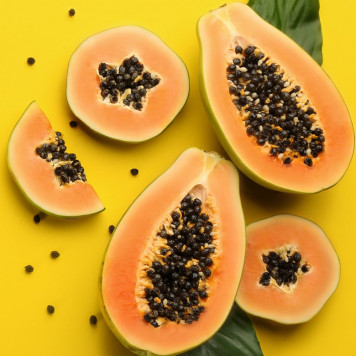 Papája máta NSP Model NSP 485 | Obrázek č. 1