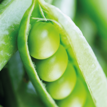 SmartMeal 2-pak Model NSP 65010 | Obrázek č. 1