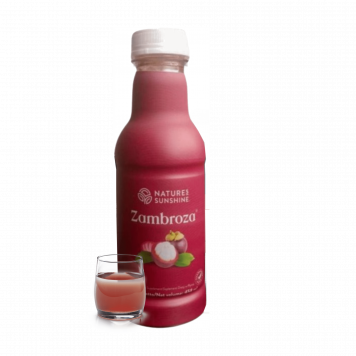 Zambroza NSP Model NSP 4104 | Obrázek č. 1