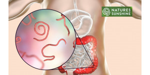 Jak bezpečně a přirozeně porazit parazity a kandidózu: program NSP