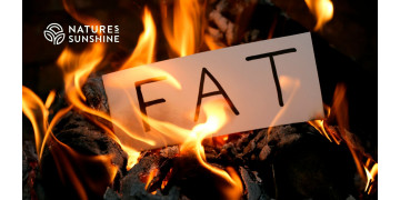 Proč tělo potřebuje tuk? Úloha tukové tkáně v toxikologické obraně