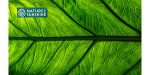 Chytré produkty pro křečové žíly: zkušenosti společnosti NSP